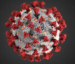 Coronavirus and how it affects bankruptcy